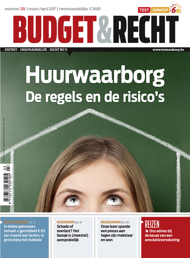 Cover Budget&Recht 251